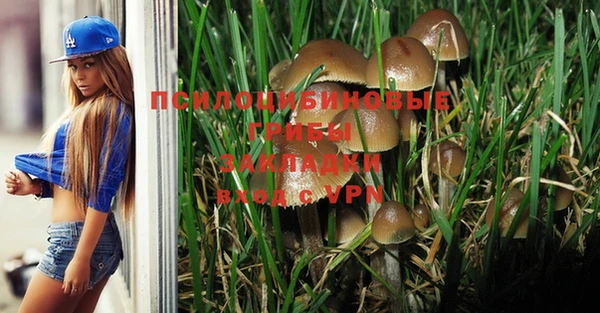 марки lsd Нефтегорск