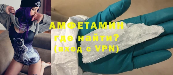 мет Алексин